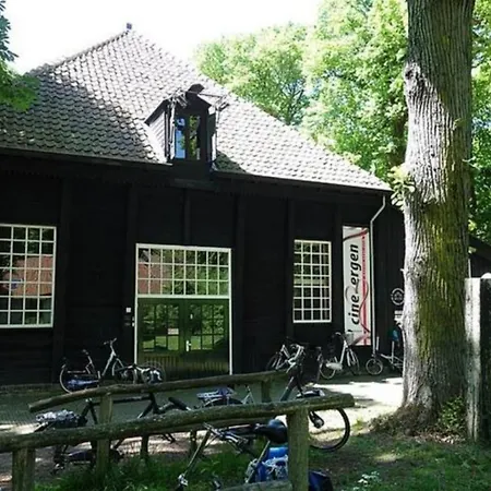 Duinstudio * Bergen