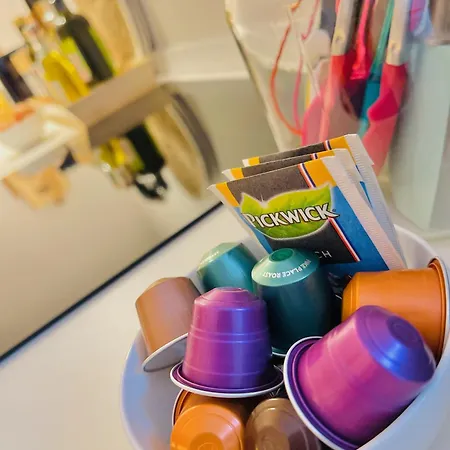 Duinstudio 펜션 베르겐