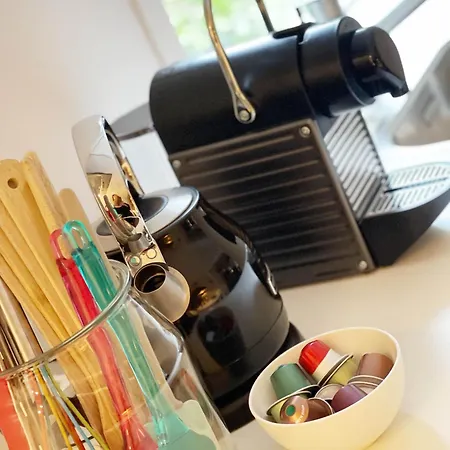 Duinstudio Bergen