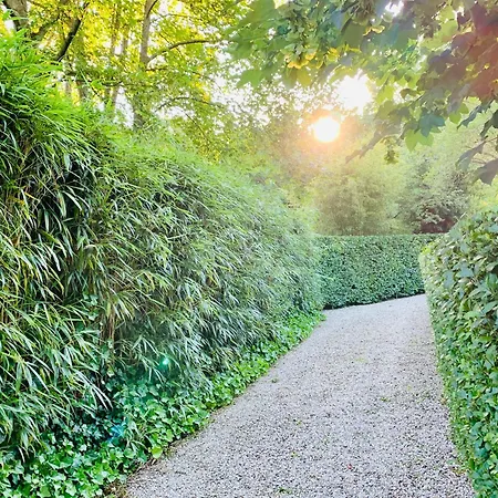 펜션 Duinstudio 베르겐