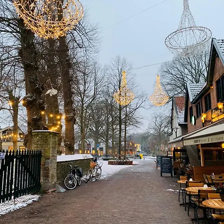 Ferienhaus Duinstudio *