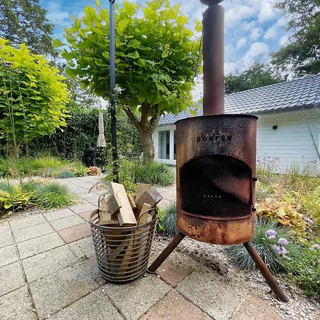 Duinstudio Bergen