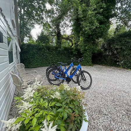 Duinstudio * 베르겐