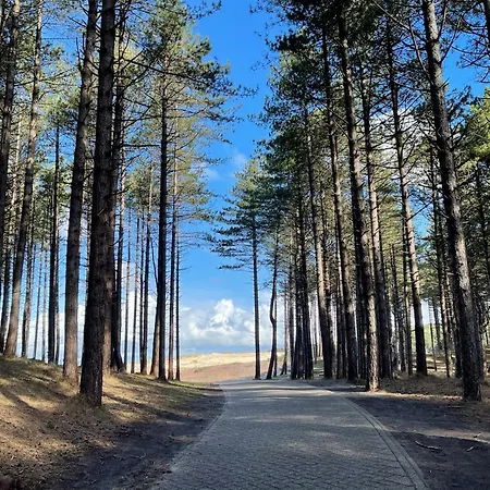 Дом отдыха Duinstudio *