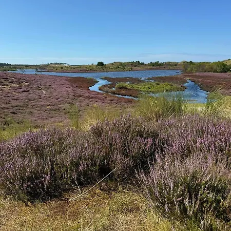 Duinstudio * 베르겐