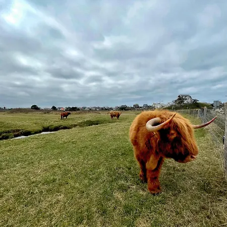 Duinstudio Дом отдыха *