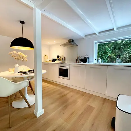 Duinstudio Bergen