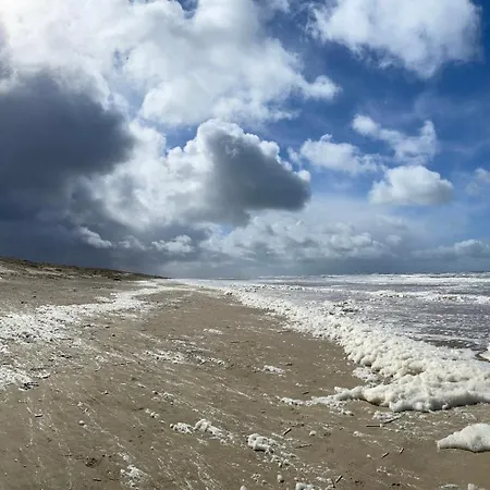 Duinstudio 베르겐