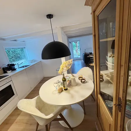 Duinstudio Bergen