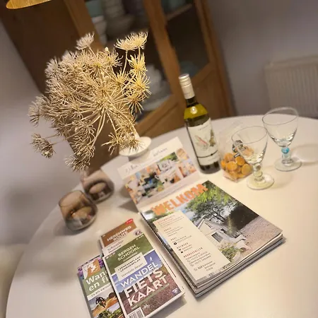 Duinstudio Ferienhaus