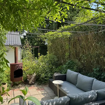 Duinstudio Bergen