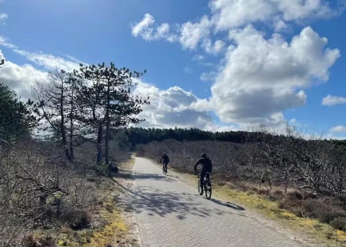 Duinstudio Tatil Evi Bergen