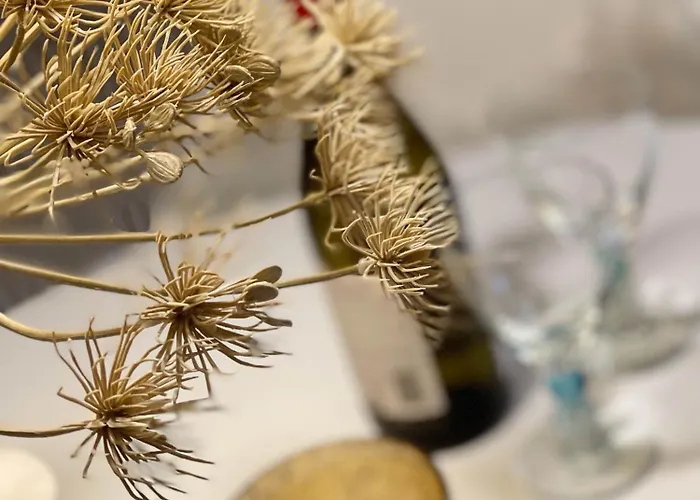 Vakantiehuis Duinstudio