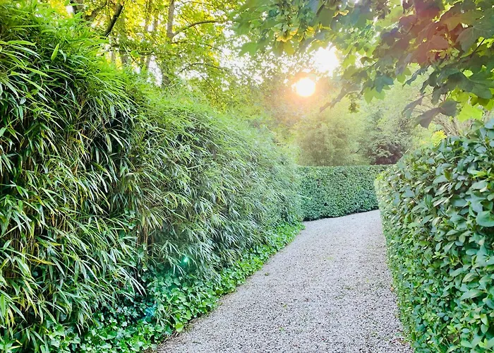 Дом отдыха Duinstudio Берген