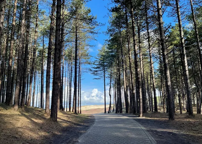 Дом отдыха Duinstudio *