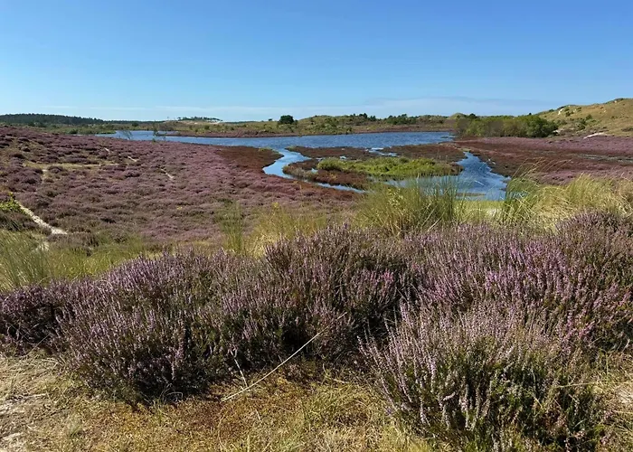 Duinstudio * Берген