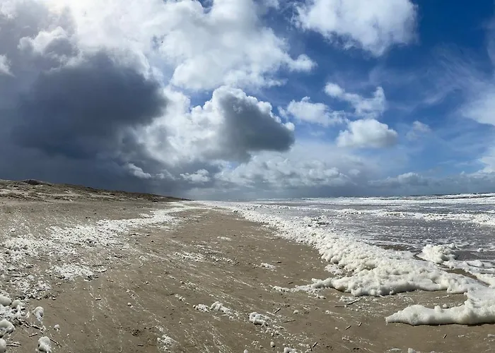 Duinstudio Берген